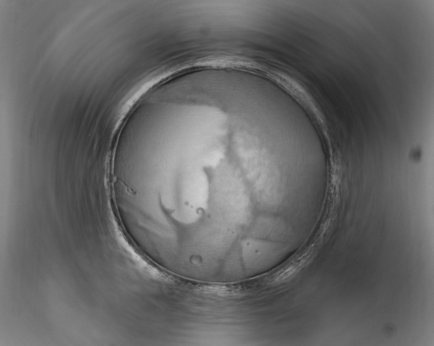 X0000115790855200911271225