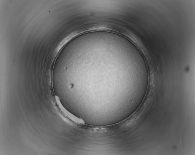 X0000115790858200911271225