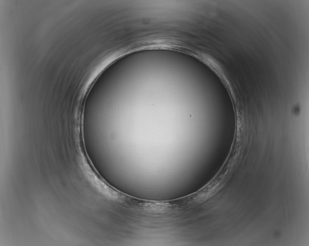 X0000115790859200911271225