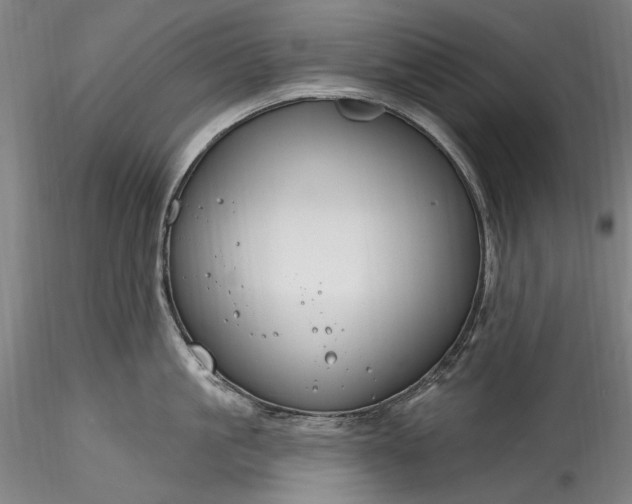 X0000115790861200911271225