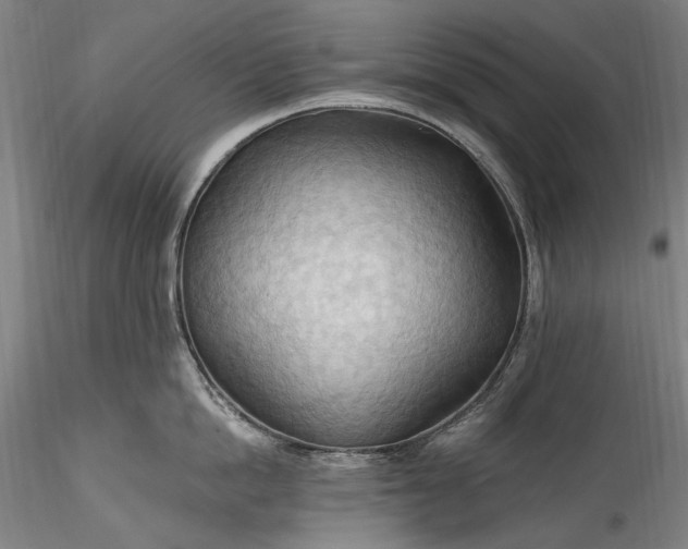 X0000115790862200911271225