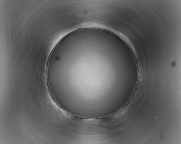 X0000115790863200911271225