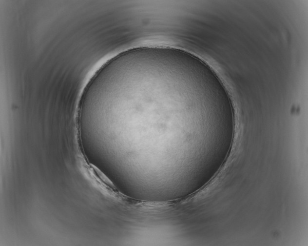 X0000115790864200911271225