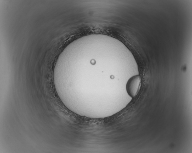 X0000115790865200911271224