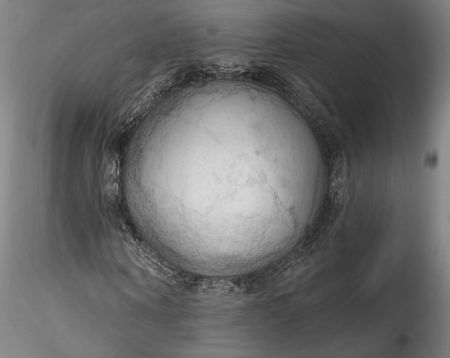 X0000115790866200911271224