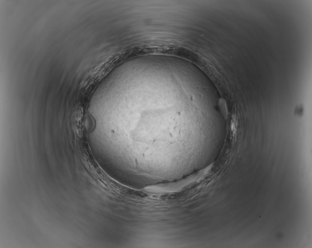 X0000115790867200911271224