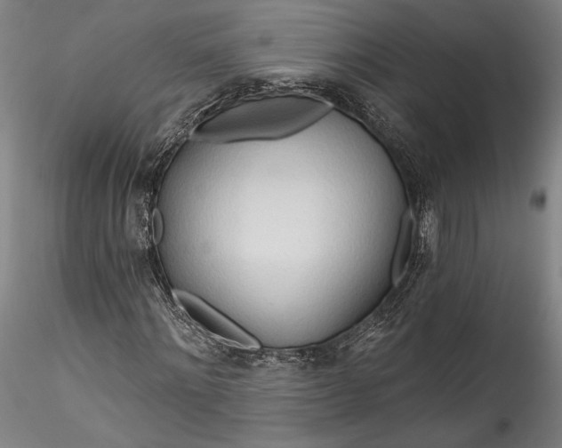 X0000115790868200911271224