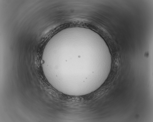 X0000115790869200911271224