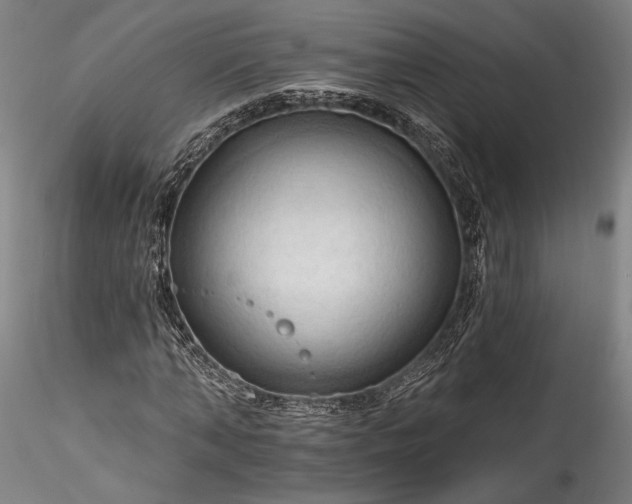 X0000115790870200911271224