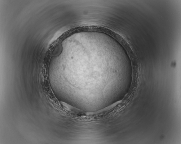 X0000115790871200911271224