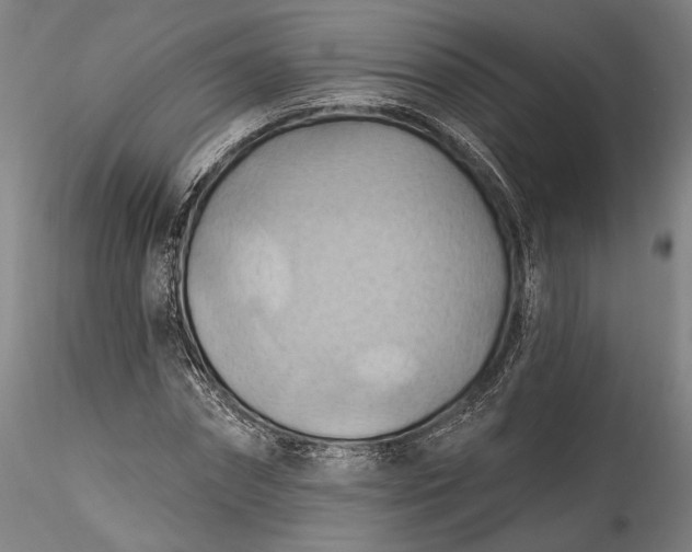 X0000115790874200911271224