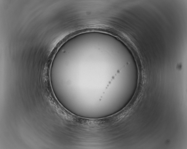 X0000115790875200911271224