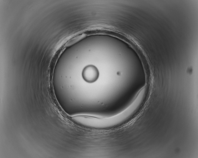 X0000115790877200911271224