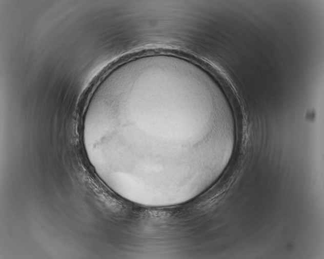 X0000115790878200911271224