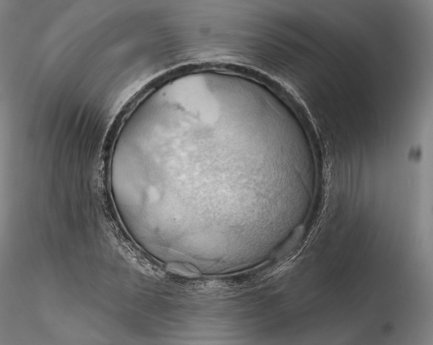 X0000115790879200911271224