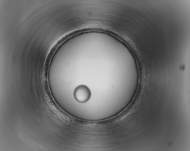 X0000115790880200911271224