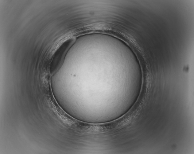 X0000115790881200911271224