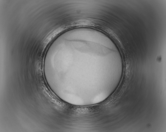 X0000115790882200911271224