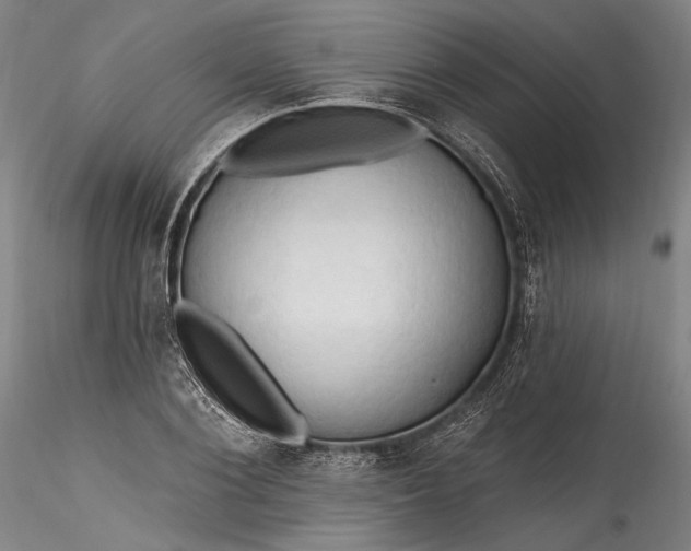 X0000115790884200911271224