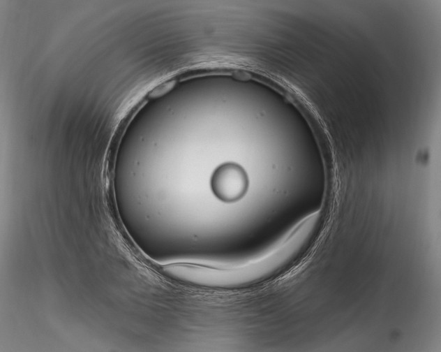 X0000115790885200911271224