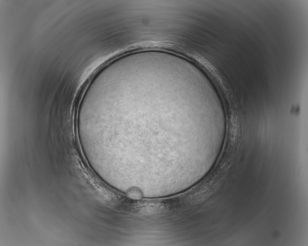 X0000115790886200911271224