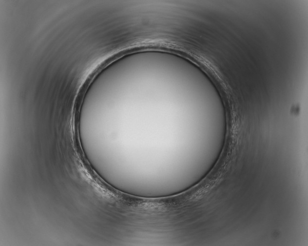 X0000115790888200911271224