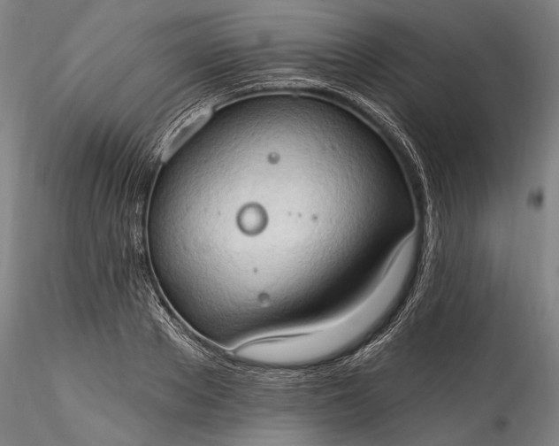 X0000115790889200911271224