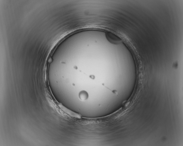 X0000115790892200911271224