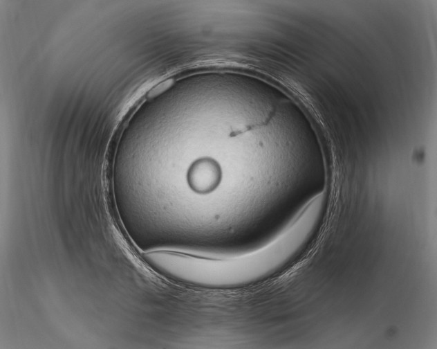 X0000115790893200911271224