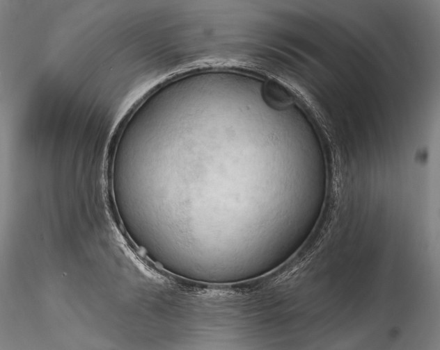 X0000115790894200911271224