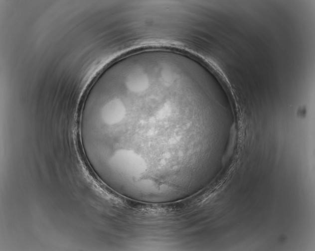 X0000115790895200911271224