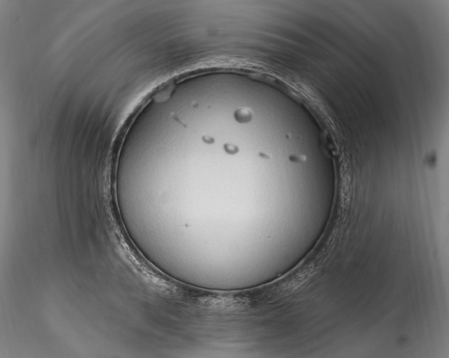 X0000115790896200911271224