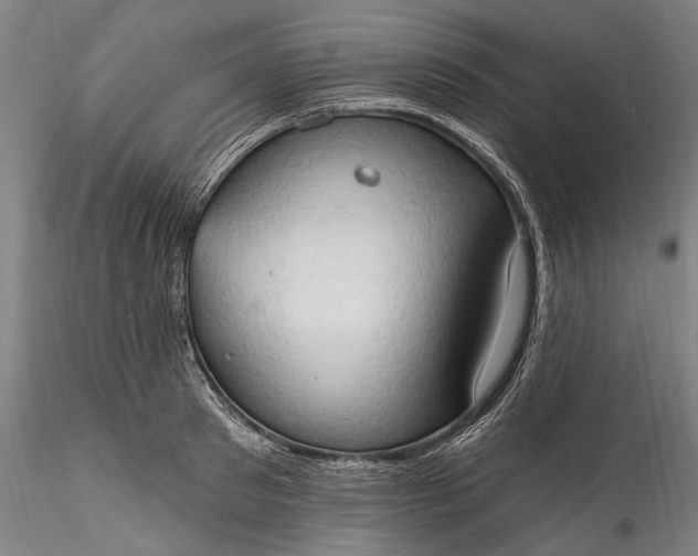 X0000115790897200911271224