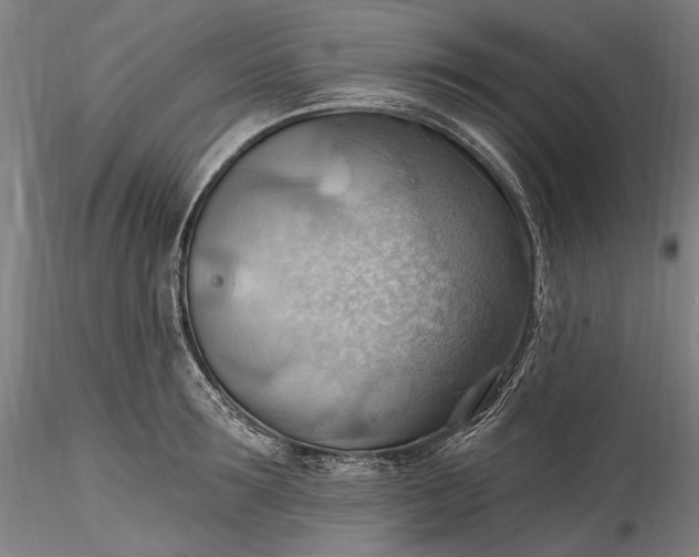 X0000115790899200911271224