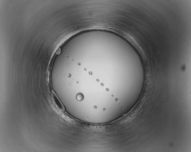 X0000115790900200911271224