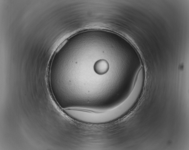 X0000115790901200911271224