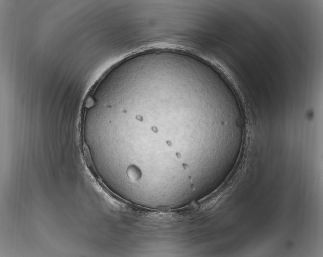 X0000115790902200911271224