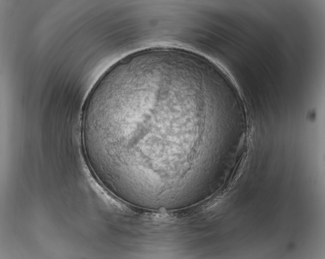 X0000115790903200911271224