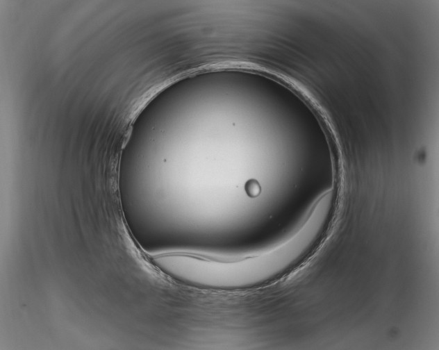 X0000115790905200911271224