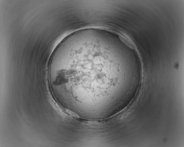 X0000115790907200911271224