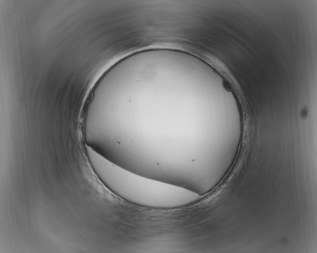 X0000115790908200911271224