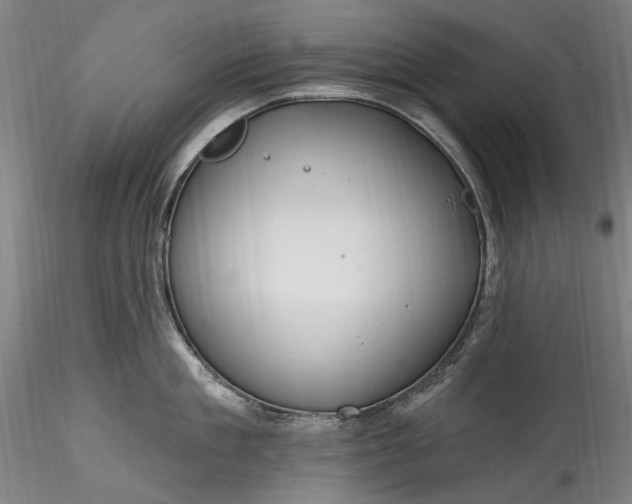 X0000115790909200911271224