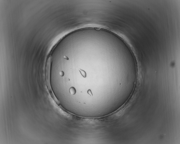 X0000115790910200911271224