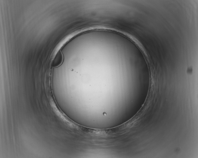 X0000115790911200911271224