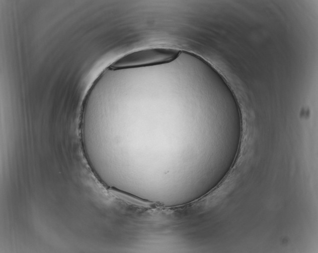 X0000115790912200911271224