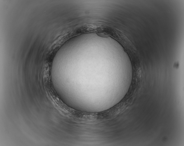 X0000115790914200911271223