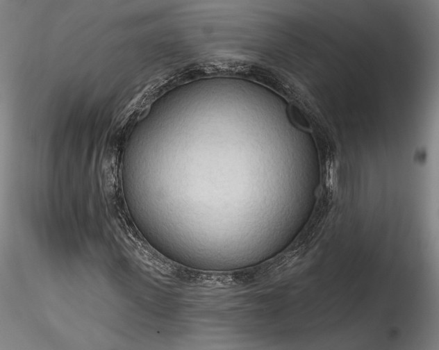 X0000115790915200911271223