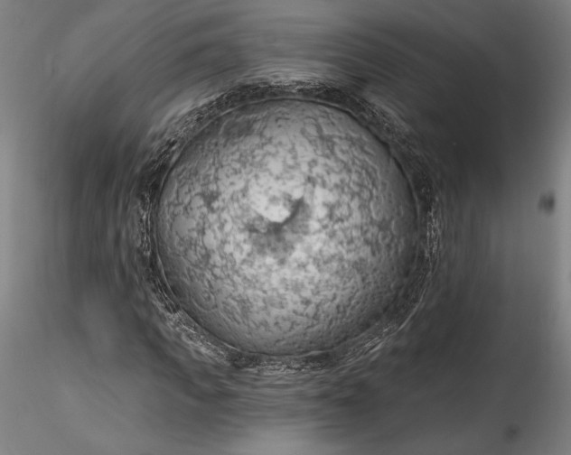 X0000115790917200911271223