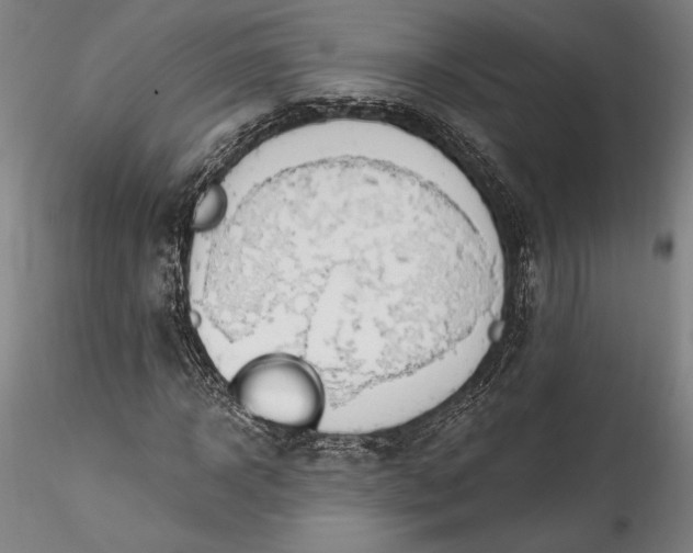 X0000115790918200911271223