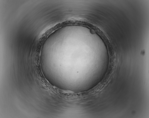 X0000115790919200911271223